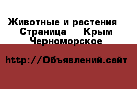  Животные и растения - Страница 4 . Крым,Черноморское